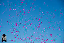 Pimmel Himmel 80cm Papierflitter pink